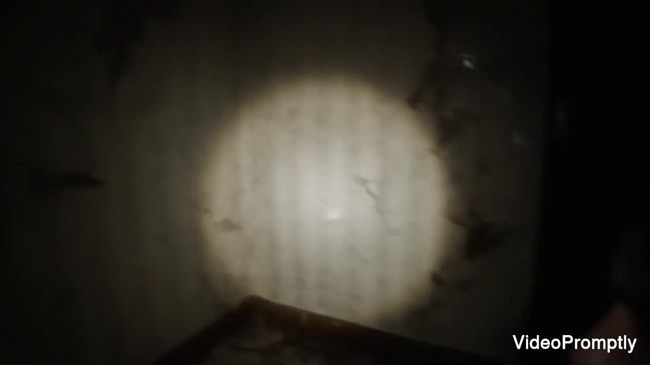 Found Footage Horror Hallway